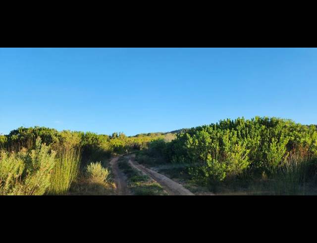 FARM FOR SALE IN STILBAAI RURAL